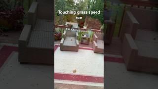 Touching grass speed run #speedrun #mgplays #touchgrass
