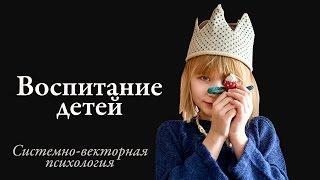 Системно векторная психология воспитание детей