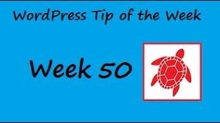 WordPress Tip of the Week - Week 50 - Creating Random Number/Letter Generator