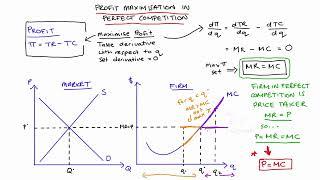 Profit Maximisation in Perfect Competition