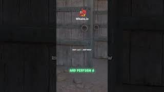️Perfect Self-Flash for Mid Takes! (Dust2)