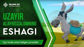 23. Uzayr alayhissalomning eshagi (1-qism) | Qur'onda nomi kelgan jonzotlar