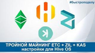 ТРОЙНОЙ МАЙНИНГ ETC + ZIL + KAS настройки для HIVE OS