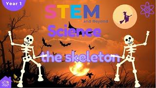 The Skeleton | KS1 Year 1 Science |  Home Learning