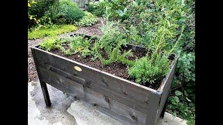 Elevated Garden Planter: Everyone Can Grow a Garden (2020) #31