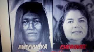 Aniyunwiya aint pale Eurasian "cherokee (misnomer)" Pt 1