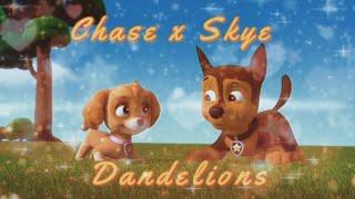 Dandelions-MEP Part~{Chase x Skye}