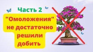 Убийство деревьев в Новомосковске часть 2