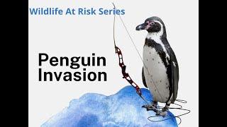 Mission: Penguin Invasion - WRITING - Year 5 GAT Test Prep - Gifted and Talented Test