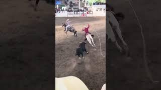 Jugadas completas del Jaripeo de Las Estrellas