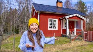 Buying a $20K Cabin in the Woods (Sweden is CHEAP)