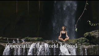 Mindfulness & Meditation: A Beginner's Journey | 9 Sections