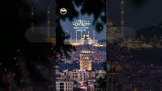Surah An-Noor verses 50 #quran #islam #surahnoor