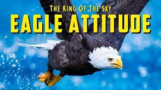 The Eagle Attitude (EAGLE MINDSET) Best Motivational Video