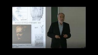 Conference by Constantino Sotelo (2018): History of the synapse