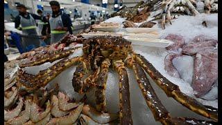 The largest fish market in Dubai ( Dubai Waterfront Market)