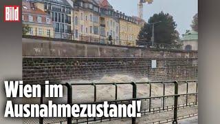 Hochwasser in Europa: Die Flutwelle hat Wien erreicht