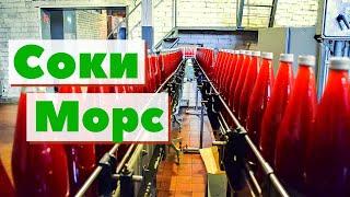 Соки, морсы | Как это сделано | Juice