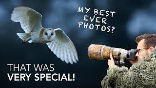 Wildlife Photography in the UK - EPIC Wildlife Encounters With Barn Owls & More!