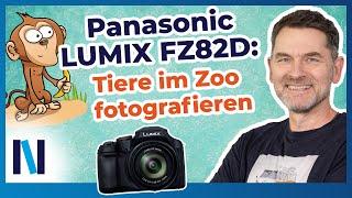 Wie schlägt sich die Panasonic LUMIX FZ82D im Zoo?