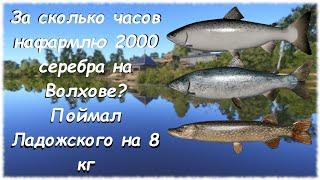 Русская рыбалка 4 Волхов  За сколько часов нафармлю 2000 серебра? Поймал Ладожского на 8 кг #7