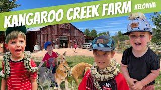 Kangaroo Creek Farm: Kelowna's Must-See Attraction!