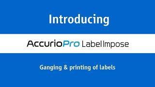 AccurioPro Label Impose | Ganging and printing of labels