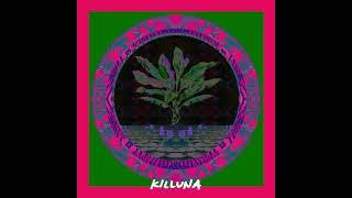 Tunacola - The Woods (Killuna Remix)