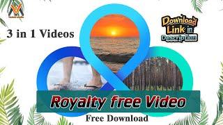 3-in-1 Nature Vibes: Rainy Walk, Forest & Beach Waves | Free Use Stock Video | VM1148