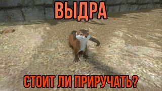 Выдра ARK MOBILE | Стоит ли приручать? | Выдра Арк Мобайл | Арк Мобайл