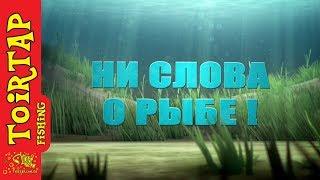 "Ни слова о рыбе" №3. ТМ TOIRTAP 1 год. Подводим итоги.