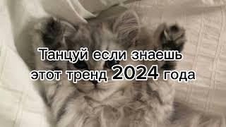 танцуй если знаешь тренды 2024 года