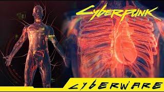 Cyberpunk 2077 - Where can you get Zetatech Sandevistan MK.3 Epic Cyberware