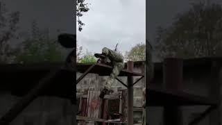 Полоса препятствий спецназа 4