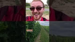 Exploring beautiful Moravia! Who loves #wine ? #moravia #travel