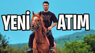 KENDİME AT ALDIM!! (BİNMEYİ ÖĞRETİYORUM)