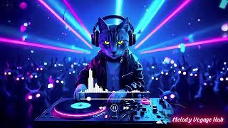 DJ Whiskers and the Steamspun Groove