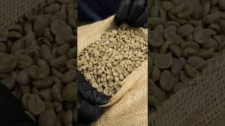 Roasting coffee to redeem myself