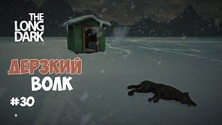 The Long Dark (Белая мгла) - Дерзкий волк. #30