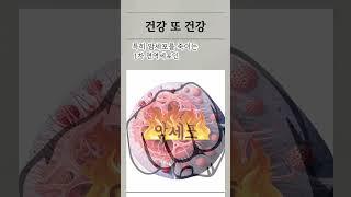 부모님 건강 선물, 가볍게 생각하면 큰일 납니다