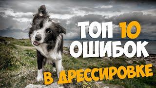 ТОП 10 ОШИБОК в дрессировке собаки!!!