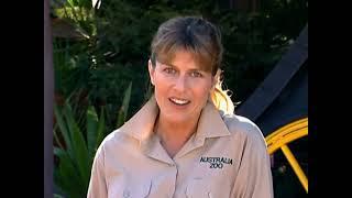 Steeve Irwin The Crocodile Hunter Secials - Episode2 - Light Crocs Action