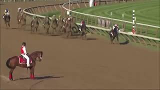 Top 50 Greatest American Racehorses