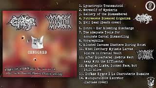 Gore / Vomito - split CD FULL ALBUM (2024 - Goregrind)