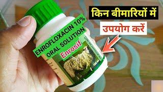 Enrofloxacin 10% Oral Solution Uses In Hindi | Enrosif | Enrofloxacin 100mg| Enrofloxacin Veterinary