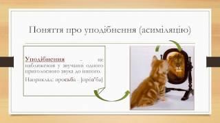 Уподібнення приголосних