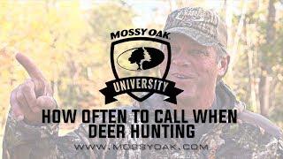 How Often Should You Grunt Or Call | Pre-Rut Deer Calling