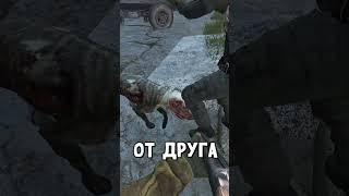 Самые безобидные Мутанты в #dayz #stalkerrp