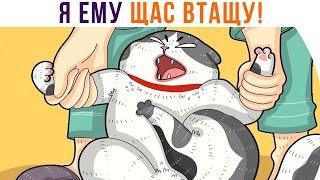 Я ЕМУ ЩАС ВТАЩУ!))) Приколы с котами | Мемозг 903