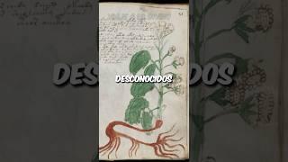 El manuscrito voynich!: #curiosidades #historia